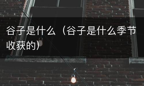 谷子是什么（谷子是什么季节收获的）