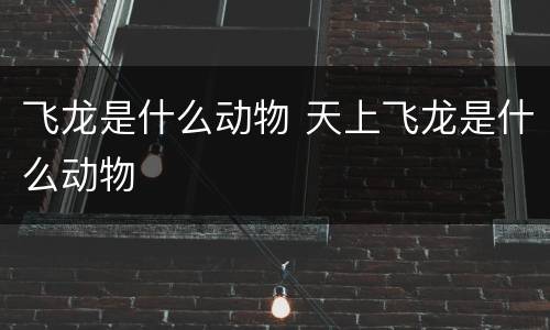 飞龙是什么动物 天上飞龙是什么动物