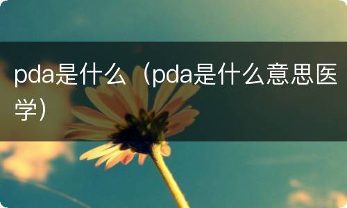 pda是什么（pda是什么意思医学）