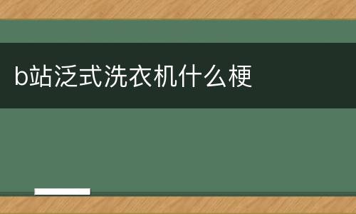b站泛式洗衣机什么梗