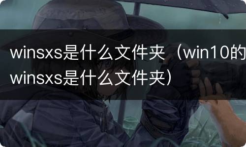winsxs是什么文件夹（win10的winsxs是什么文件夹）
