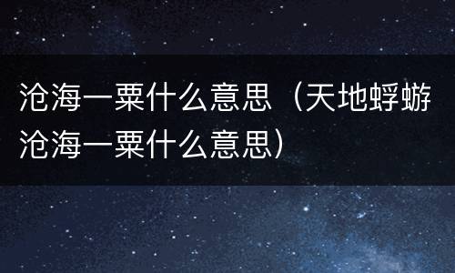 沧海一粟什么意思（天地蜉蝣沧海一粟什么意思）