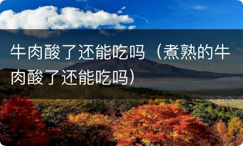 牛肉酸了还能吃吗（煮熟的牛肉酸了还能吃吗）