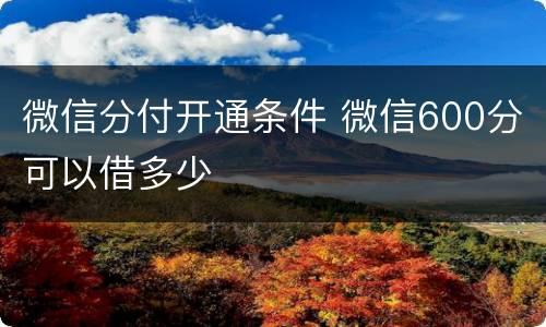 微信分付开通条件 微信600分可以借多少
