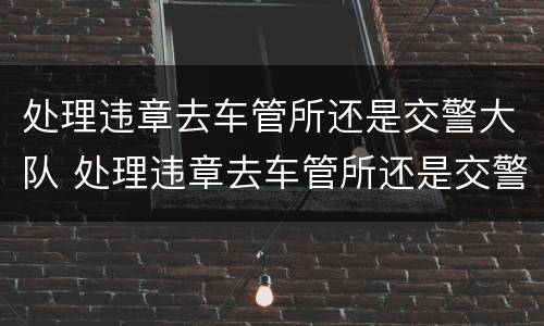 处理违章去车管所还是交警大队 处理违章去车管所还是交警大队电话