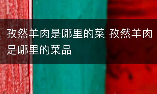 孜然羊肉是哪里的菜 孜然羊肉是哪里的菜品