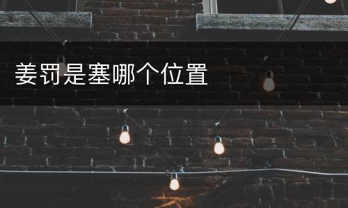 姜罚是塞哪个位置