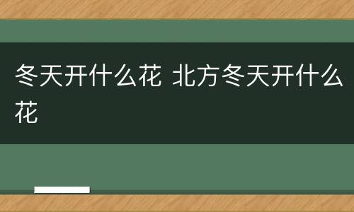 冬天开什么花 北方冬天开什么花