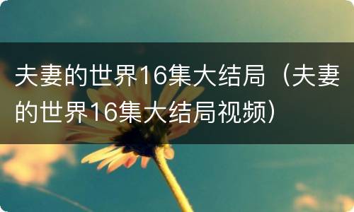 夫妻的世界16集大结局（夫妻的世界16集大结局视频）