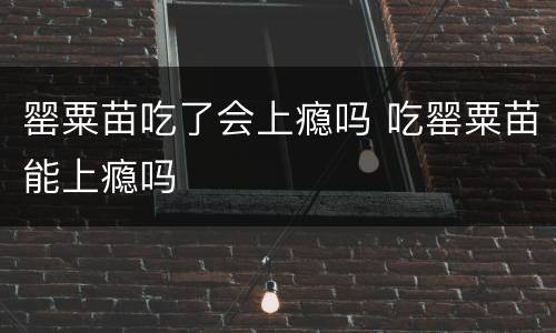 罂粟苗吃了会上瘾吗 吃罂粟苗能上瘾吗