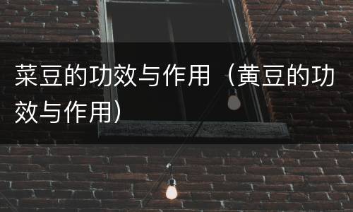 菜豆的功效与作用（黄豆的功效与作用）