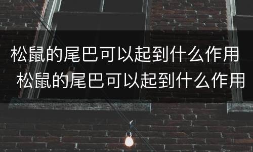 松鼠的尾巴可以起到什么作用 松鼠的尾巴可以起到什么作用和功能
