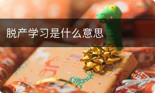 脱产学习是什么意思