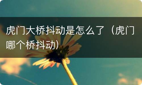 虎门大桥抖动是怎么了（虎门哪个桥抖动）