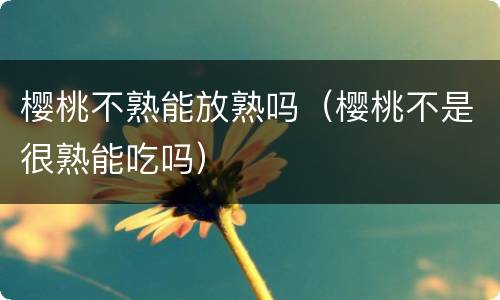 樱桃不熟能放熟吗（樱桃不是很熟能吃吗）