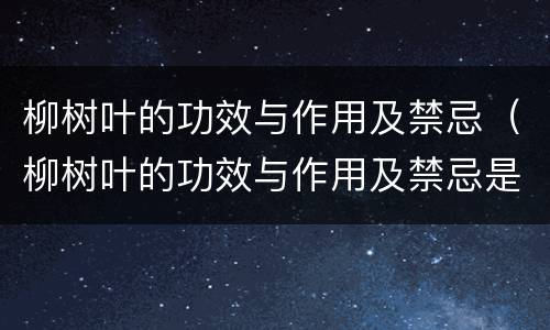 柳树叶的功效与作用及禁忌（柳树叶的功效与作用及禁忌是什么）