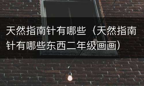 天然指南针有哪些（天然指南针有哪些东西二年级画画）