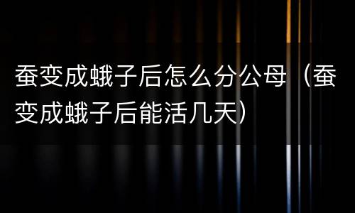 蚕变成蛾子后怎么分公母（蚕变成蛾子后能活几天）