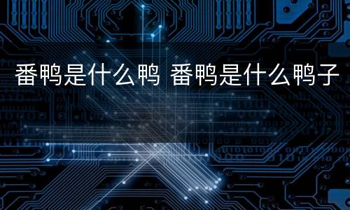 番鸭是什么鸭 番鸭是什么鸭子