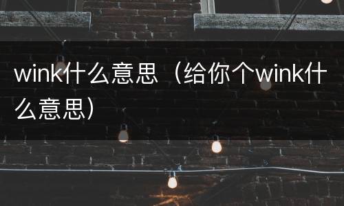 wink什么意思（给你个wink什么意思）