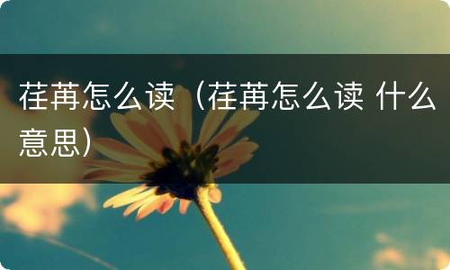 荏苒怎么读（荏苒怎么读 什么意思）