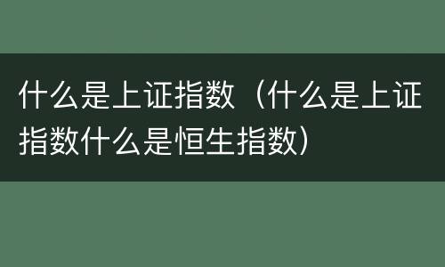 什么是上证指数（什么是上证指数什么是恒生指数）