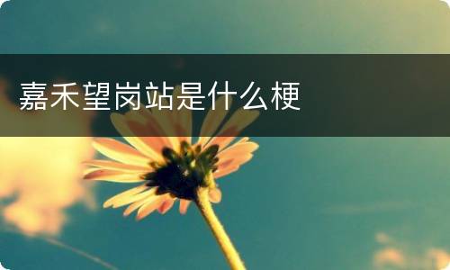 嘉禾望岗站是什么梗
