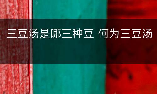 三豆汤是哪三种豆 何为三豆汤