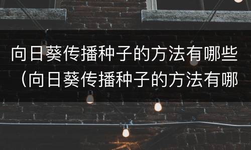 向日葵传播种子的方法有哪些（向日葵传播种子的方法有哪些种类）