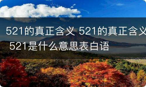 521的真正含义 521的真正含义 521是什么意思表白语