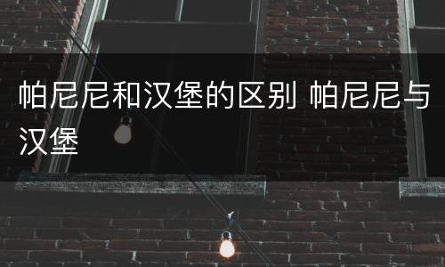 帕尼尼和汉堡的区别 帕尼尼与汉堡