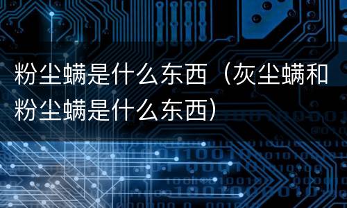 粉尘螨是什么东西（灰尘螨和粉尘螨是什么东西）