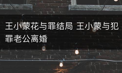 王小蒙花与罪结局 王小蒙与犯罪老公离婚