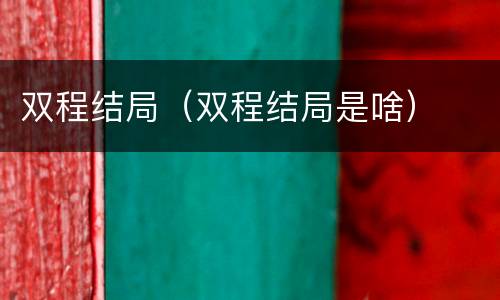 双程结局（双程结局是啥）