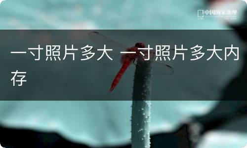一寸照片多大 一寸照片多大内存