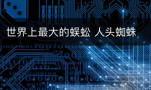 世界上最大的蜈蚣 人头蜘蛛