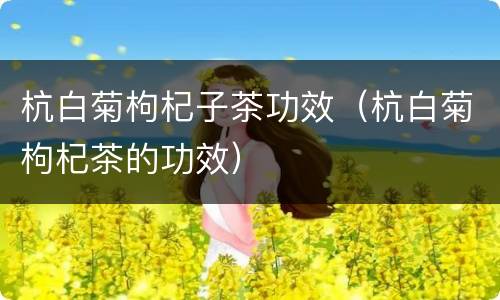 杭白菊枸杞子茶功效（杭白菊枸杞茶的功效）