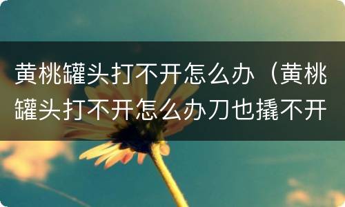 黄桃罐头打不开怎么办（黄桃罐头打不开怎么办刀也撬不开）