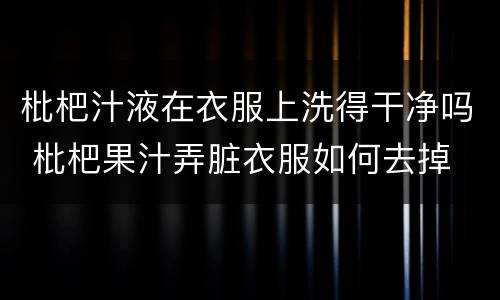 枇杷汁液在衣服上洗得干净吗 枇杷果汁弄脏衣服如何去掉