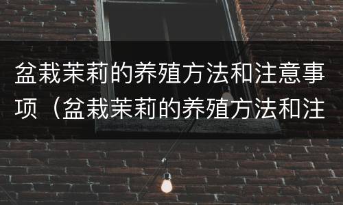 盆栽茉莉的养殖方法和注意事项（盆栽茉莉的养殖方法和注意事项修剪）