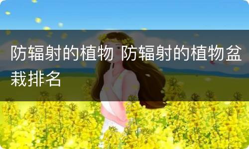 防辐射的植物 防辐射的植物盆栽排名