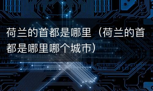 荷兰的首都是哪里（荷兰的首都是哪里哪个城市）