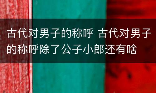 古代对男子的称呼 古代对男子的称呼除了公子小郎还有啥