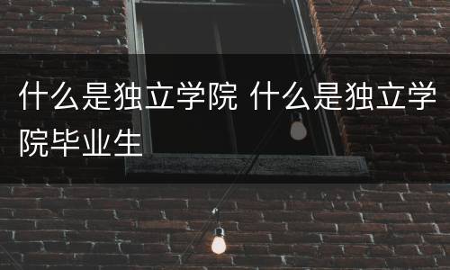 什么是独立学院 什么是独立学院毕业生