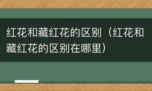 红花和藏红花的区别（红花和藏红花的区别在哪里）