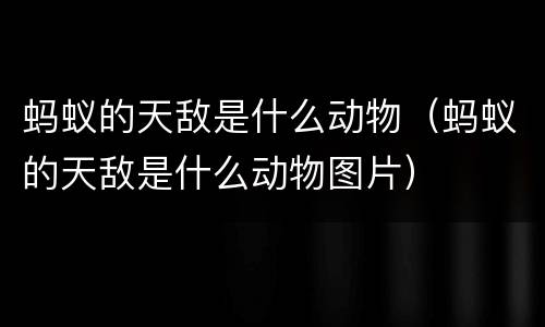蚂蚁的天敌是什么动物（蚂蚁的天敌是什么动物图片）