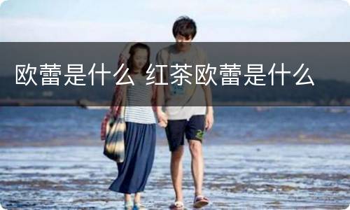 欧蕾是什么 红茶欧蕾是什么