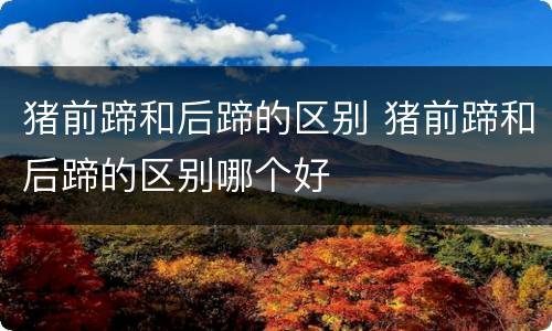 猪前蹄和后蹄的区别 猪前蹄和后蹄的区别哪个好