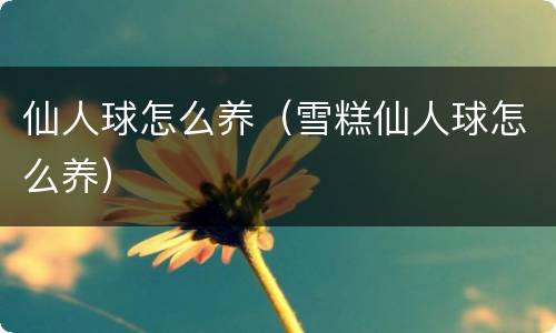 仙人球怎么养（雪糕仙人球怎么养）