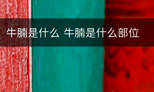 牛腩是什么 牛腩是什么部位